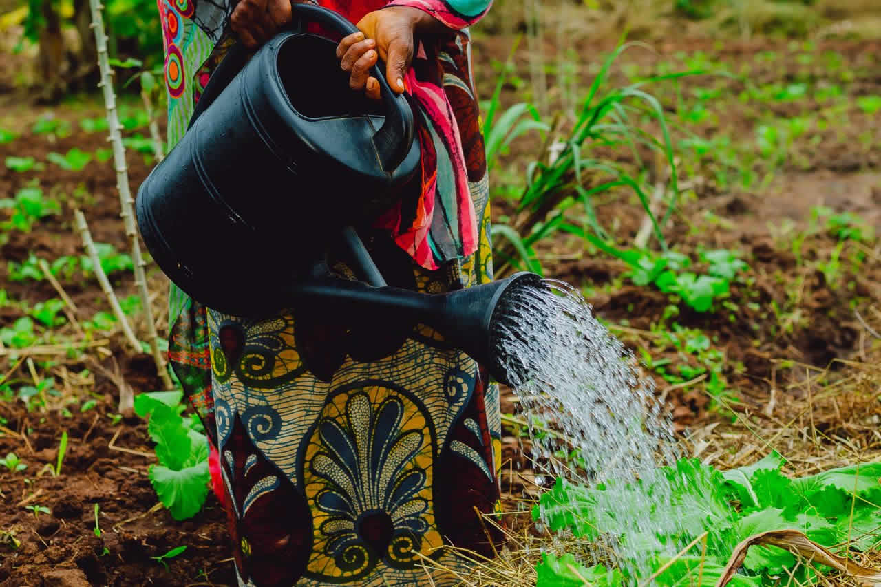 Agriculture & Food Security Workshop