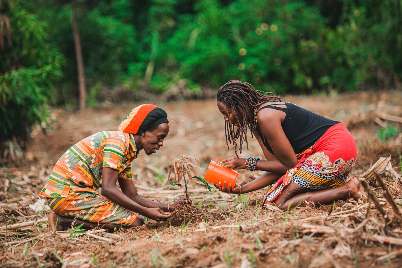 Agriculture & Food Security