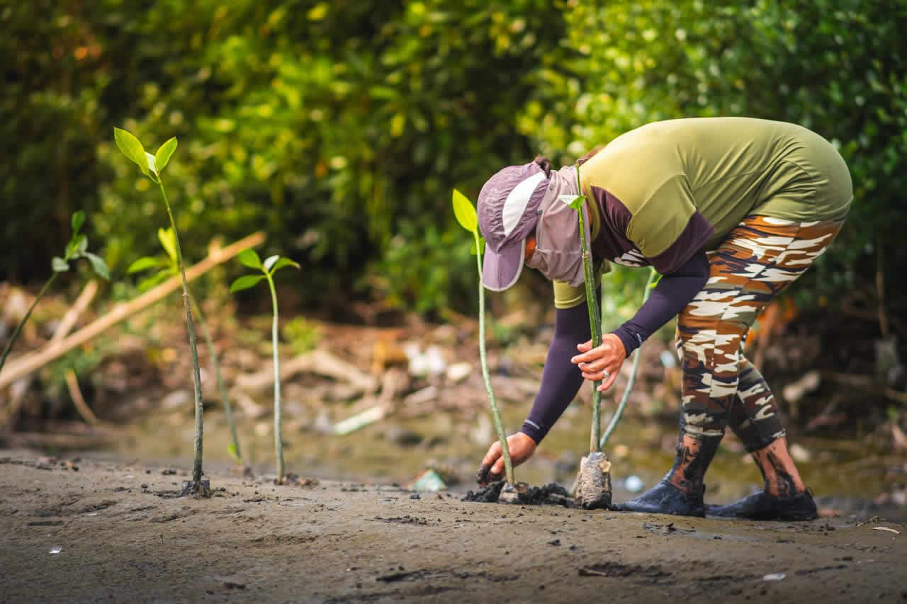 Environmental Conservation